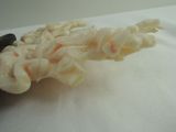 a close up of a toothbrush with flowers on it