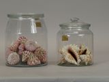 two glass jars with shells in them sitting on a table