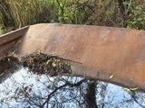trees are reflected in a puddle of water on the side of a road