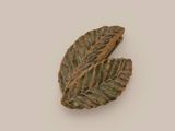 an image of a leaf shaped object on a white surface