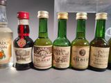several bottles of alcohol are lined up on a counter