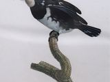 a bird that is sitting on top of a branch