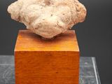 une tête antique en pierre posée sur un socle en bois, sur fond noir