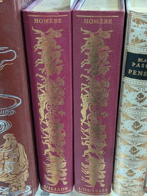 Plusieurs livres sont alignés les uns à côté des autres sur une étagère.