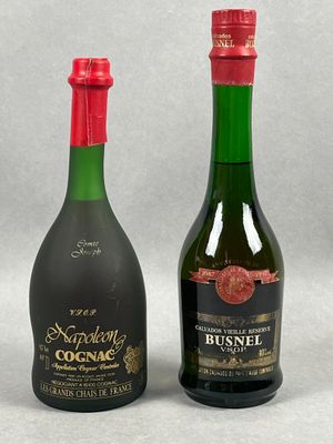 Réunion de deux spiritueux : une bouteille de cognac Napoléo…