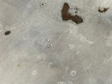 an image of a close up of a metal surface with rust