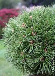 Destockage & Invendus