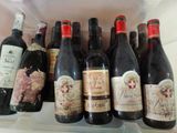 de nombreuses bouteilles de vin posées sur une étagère dans un réfrigérateur