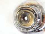 a close up of a glass of water on a table