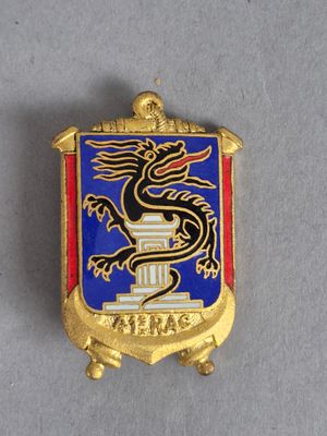 un gros plan sur un insigne orné d'un dragon