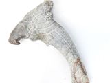 a close up of a piece of stone on a white surface