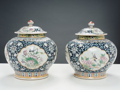 paire de vases chinois bleus et blancs représentant des oiseaux et des fleurs