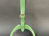 a green and black handbag with a gold buckle
