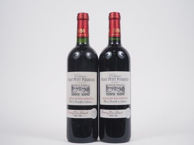 deux bouteilles de vin rouge posées l'une à côté de l'autre sur une surface blanche