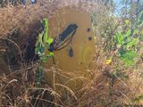 a yellow surfboard sitting in the middle of a field