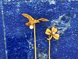 paire d'épingles à cheveux dorées représentant un oiseau et une fleur sur fond bleu