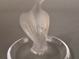 a glass bird that is sitting on a glass plate
