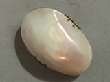 a white shell with a gold clasp on it