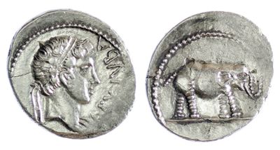 an image of a silver coin with an image of a man and a horse