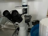 un gâteau posé sur un plan de travail, à côté d'un microscope