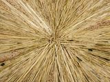a close up of a large piece of art made out of straw