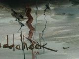 a bird that is standing in the water by the shore