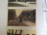 three pictures of a horse drawn carriage in the woods