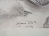 Photo 6/6 du lot