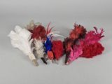 Plusieurs plumes de différentes couleurs sont disposées sur une surface blanche.