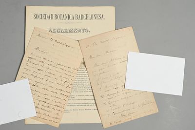 Federico TRÉMOLS Y BORRELL (Cadaques 1831-1900), botaniste, …