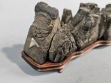 a close up of a piece of rock on a wooden stand