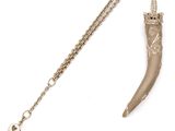 une image représentant un collier orné d'une longue corne suspendue à une chaîne