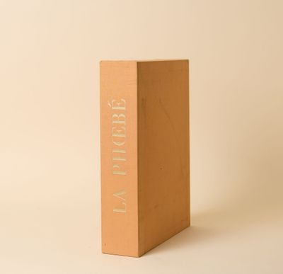 une image représentant un livre marron posé sur une surface blanche