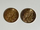 two gold coins sitting side by side on a white surface