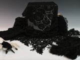 de la dentelle noire et des plumes sur fond blanc