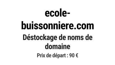 Nom de domaine ecole-buissonniere.
