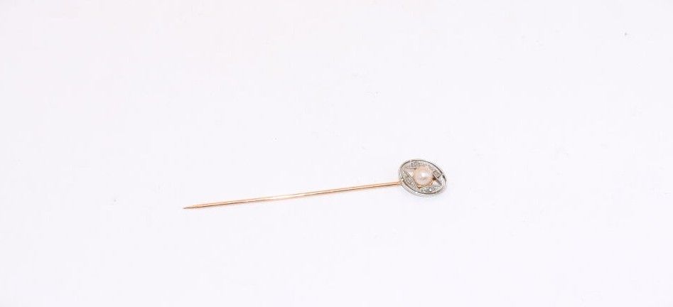 Objets d'art & Curiosités