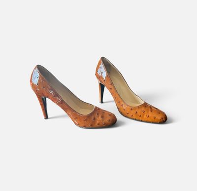 une image représentant une paire de chaussures à talons hauts pour femme sur fond blanc