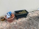 two pots with plants in them sitting on the ground