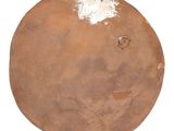 a large brown object with a white substance on it
