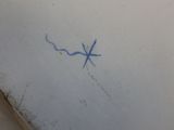 a blue starfish drawn on the wall of a bathroom