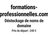 Photo 1/1 du lot