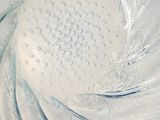 a close up of a glass bowl with a toothbrush inside of it