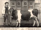 une photo en noir et blanc d'un homme debout à côté d'une vache