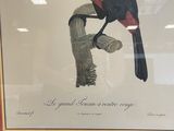 painting of a toucan perched on a branch in a frame