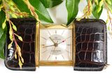 an image of a close up of a wrist watch with a plant in the background
