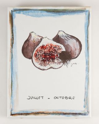une peinture représentant une figue et un fruit sur un fond blanc