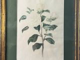 a painting of a white flower with green leaves in a gold frame
