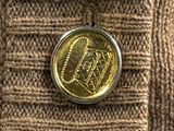 a gold coin in the pocket of a sweater