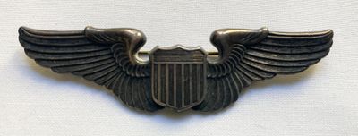 a close up of a metal badge with wings on a white background